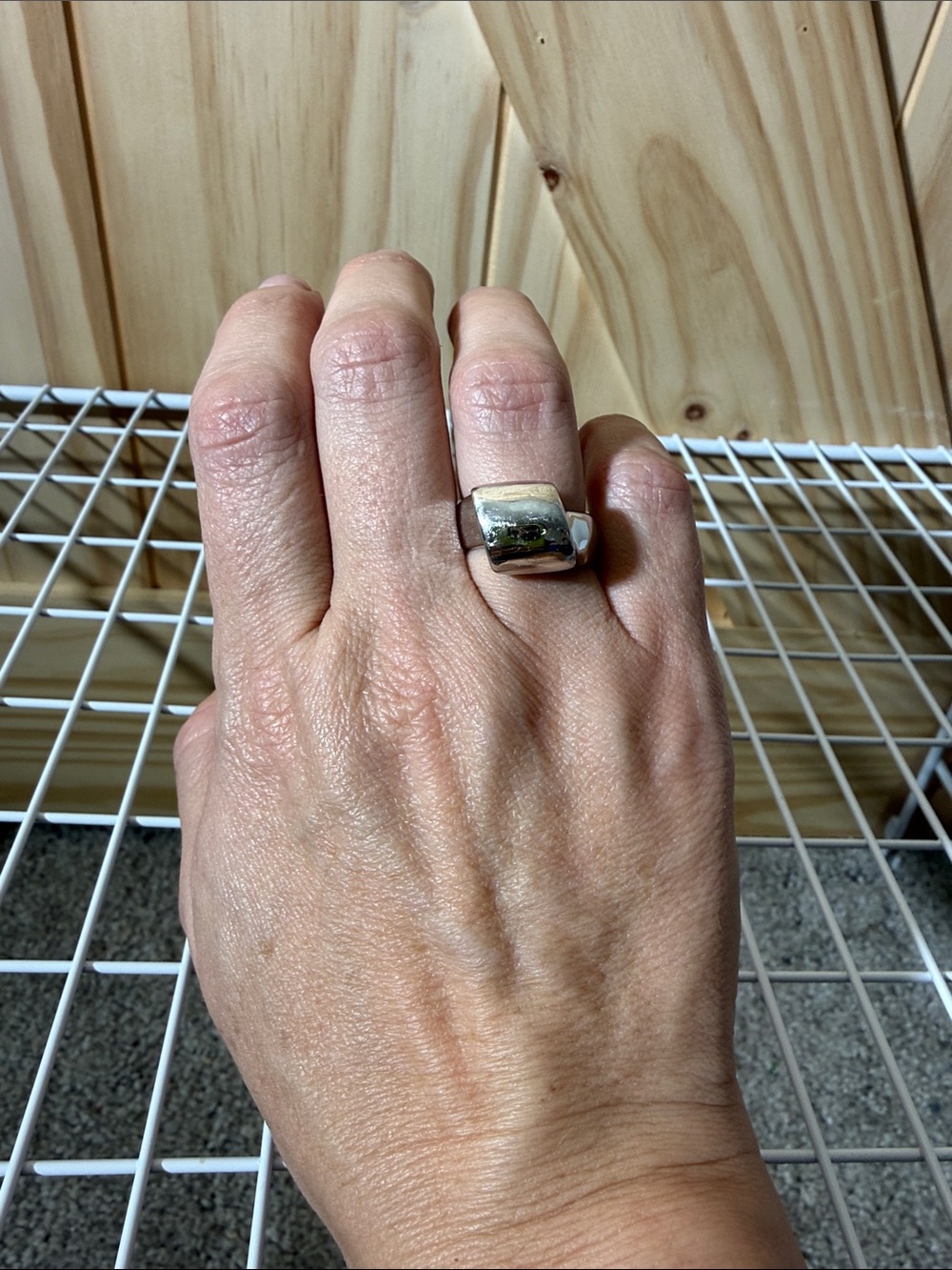 Lia Sophia Polished Silver Dome Ring
